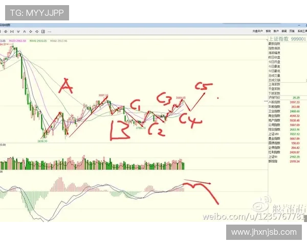 深圳网球队防守策略解析与战术创新探讨